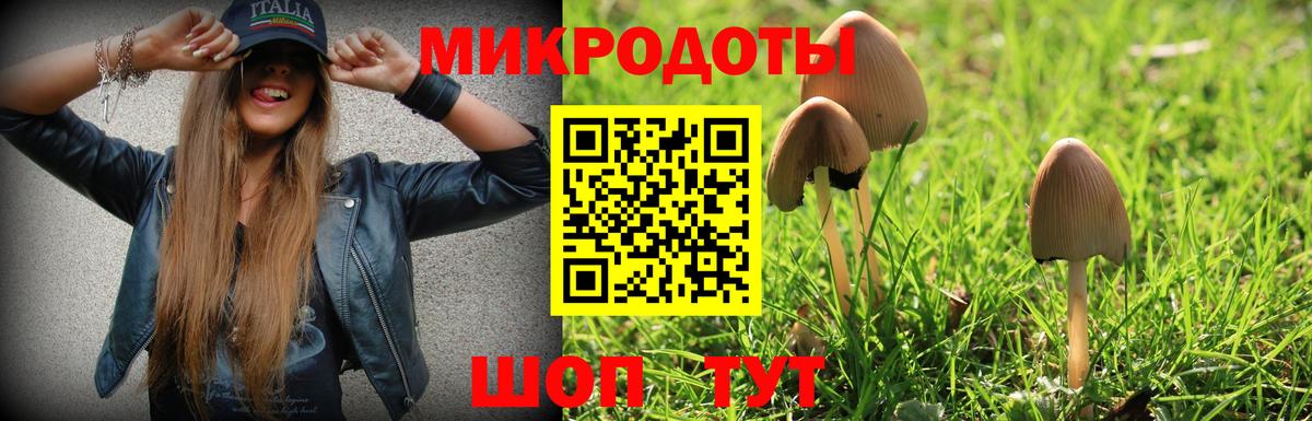 Конаково  Псилоцибиновые грибы Magic Shrooms  Псилоцибиновые грибы Magic Shrooms  Вход с VPN 